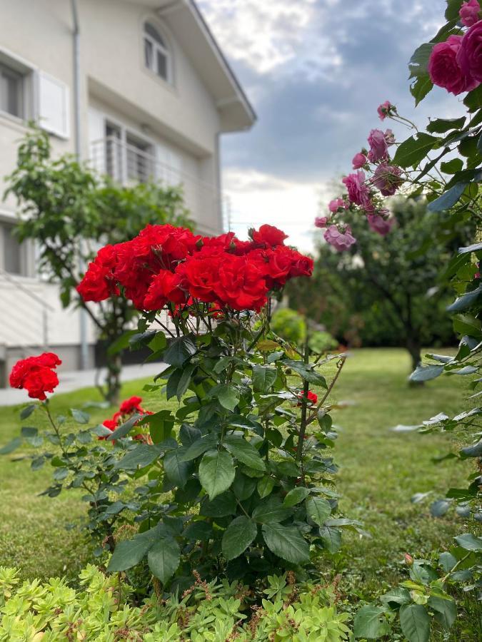 Villa Mara 골루바츠 외부 사진