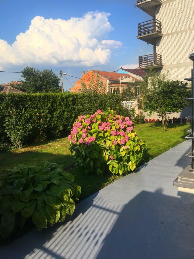 Villa Mara 골루바츠 외부 사진